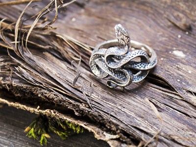 Серебряное кольцо змея 